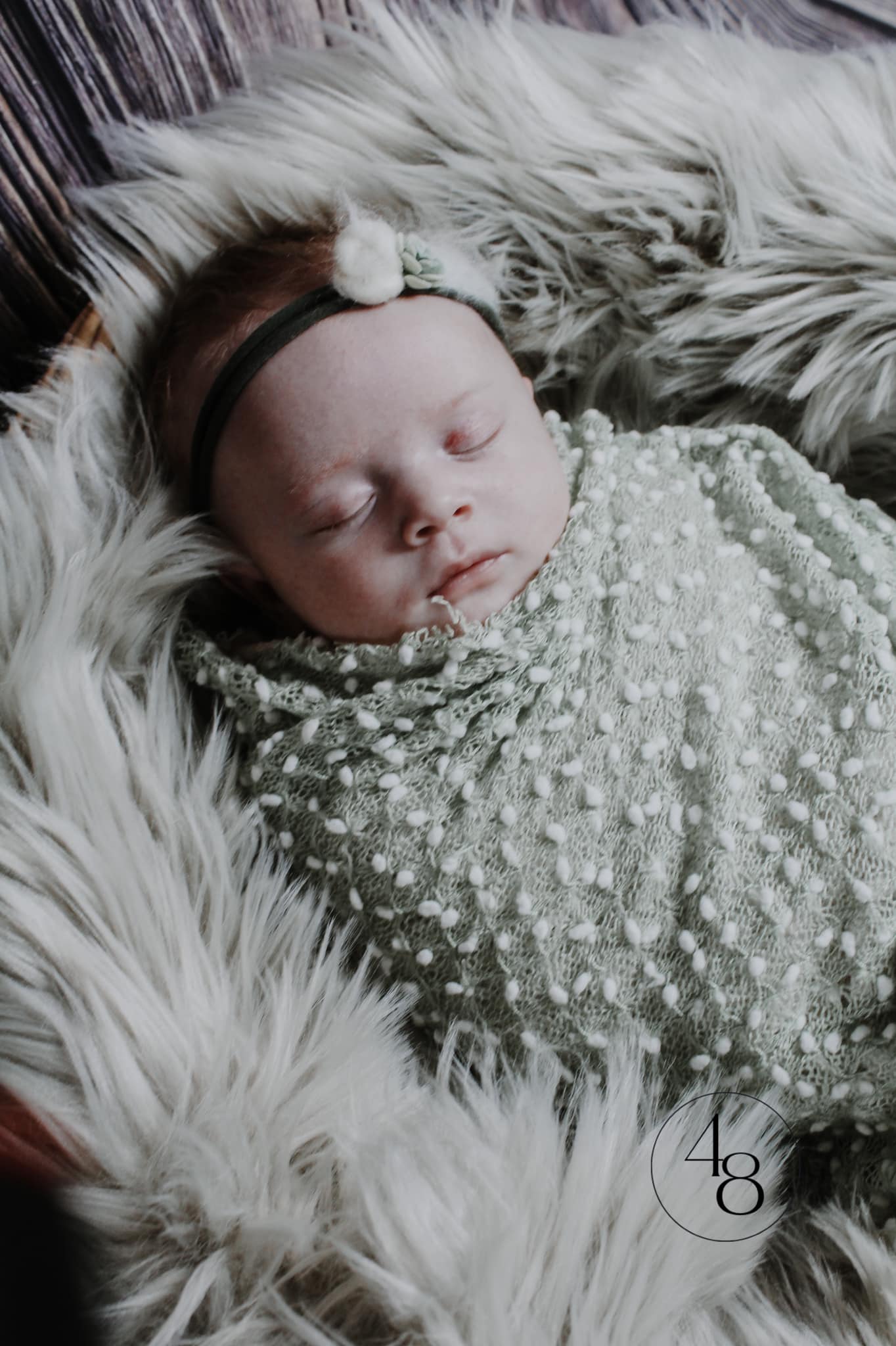 newborn pictures, wrapped up in blanket, baby pictures, newborn photography