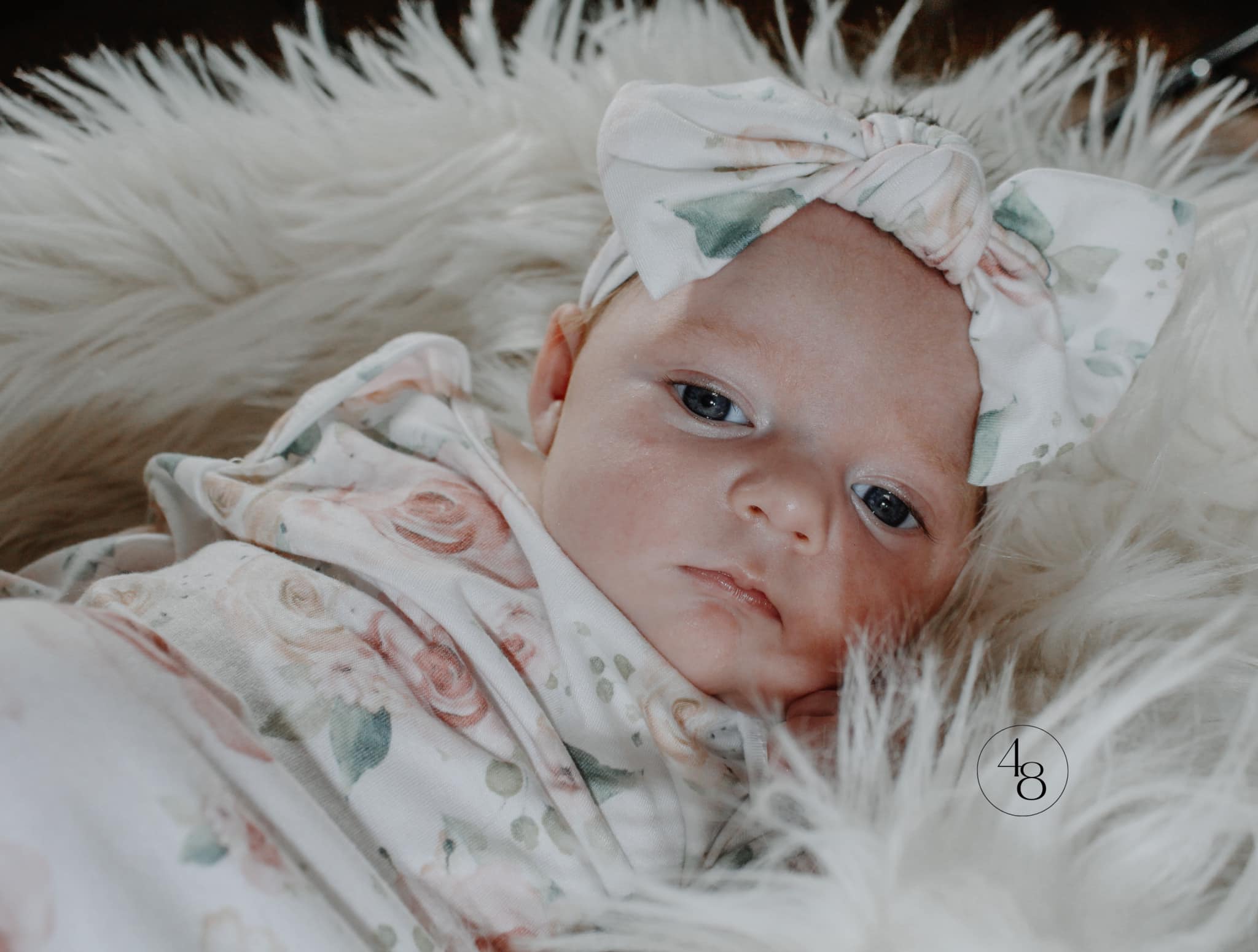 newborn baby girl pictures, newborn photoshoot, newborn girl photography, newborn girl with big bow pictures