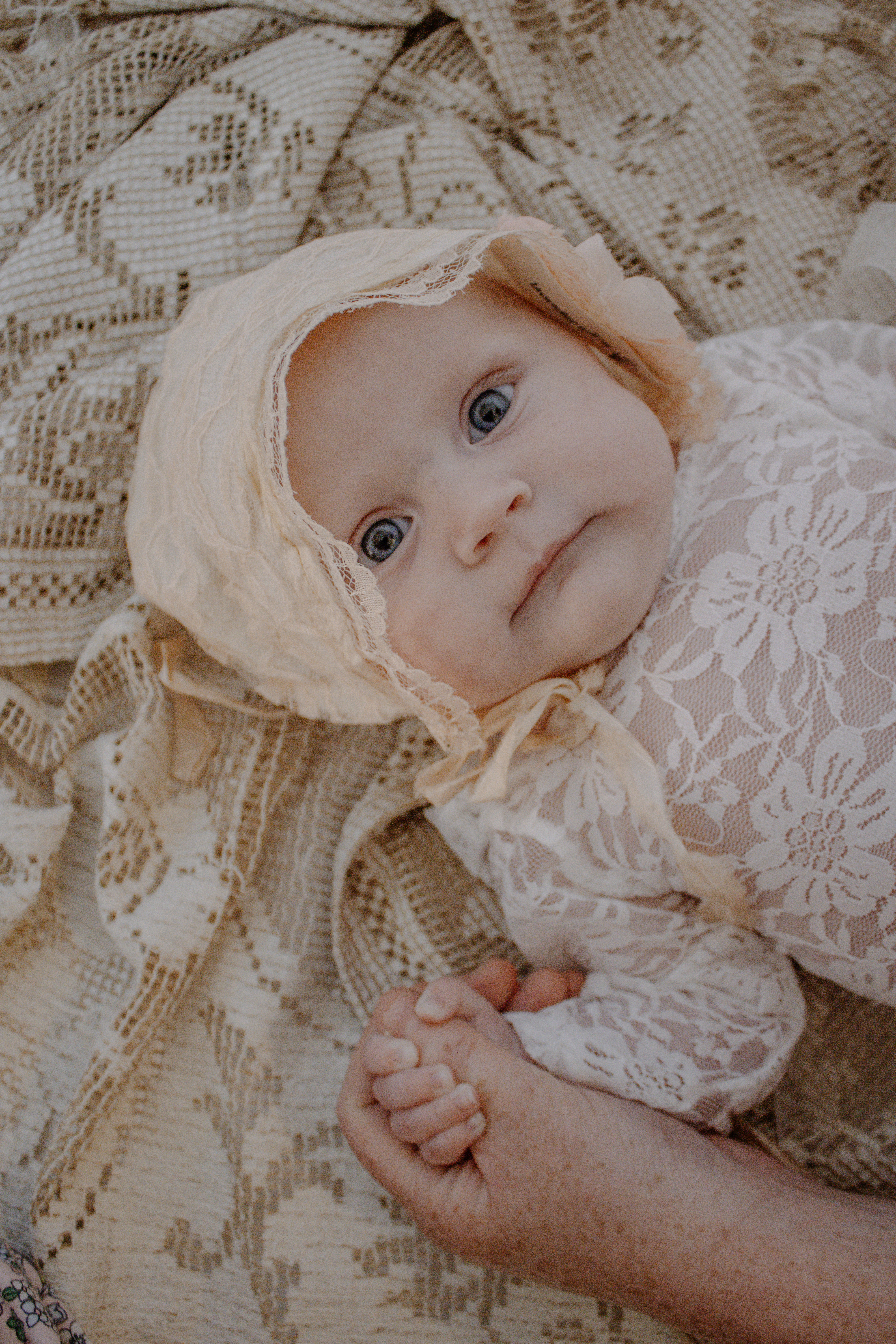 newborn portrait, baby in white lace outfit