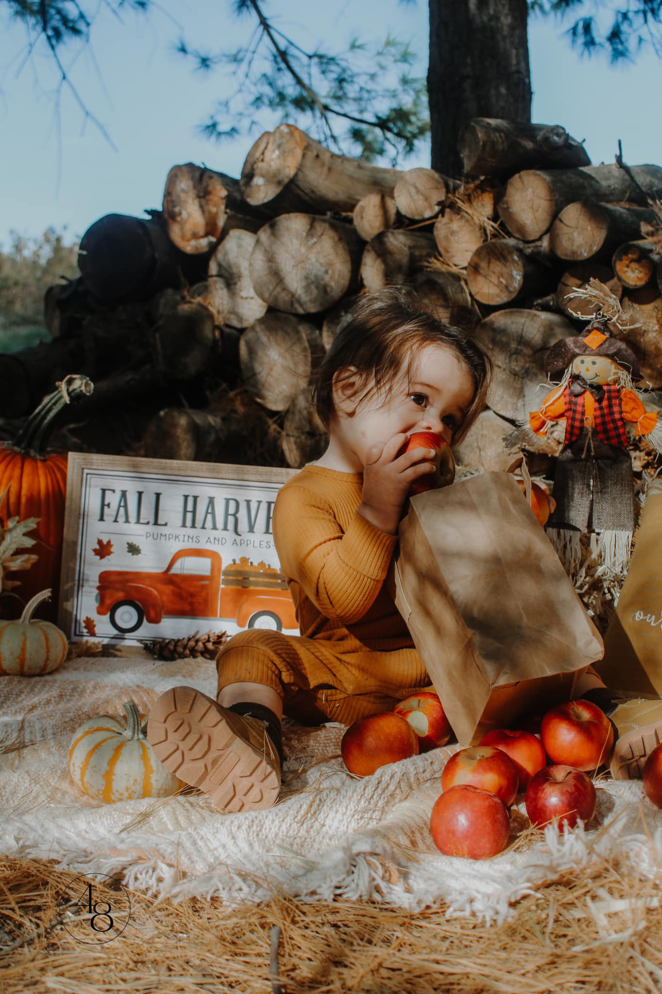 fall pictures, fall photography session, toddler boy eating appples