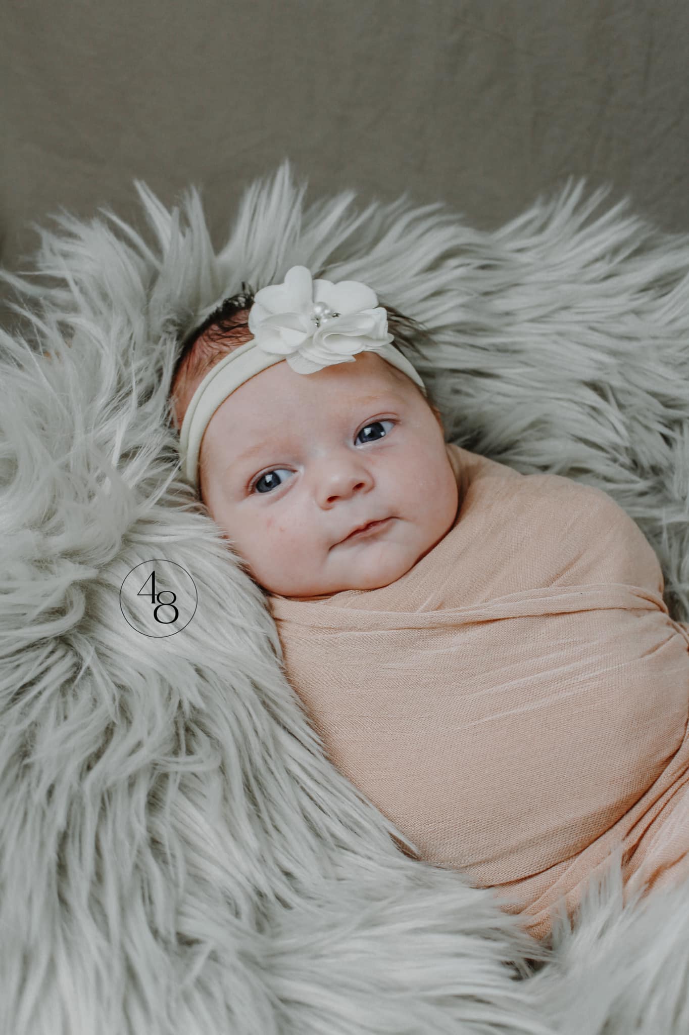 newborn baby girl photography, baby girl with flower headband pictures, newborn girl pictures