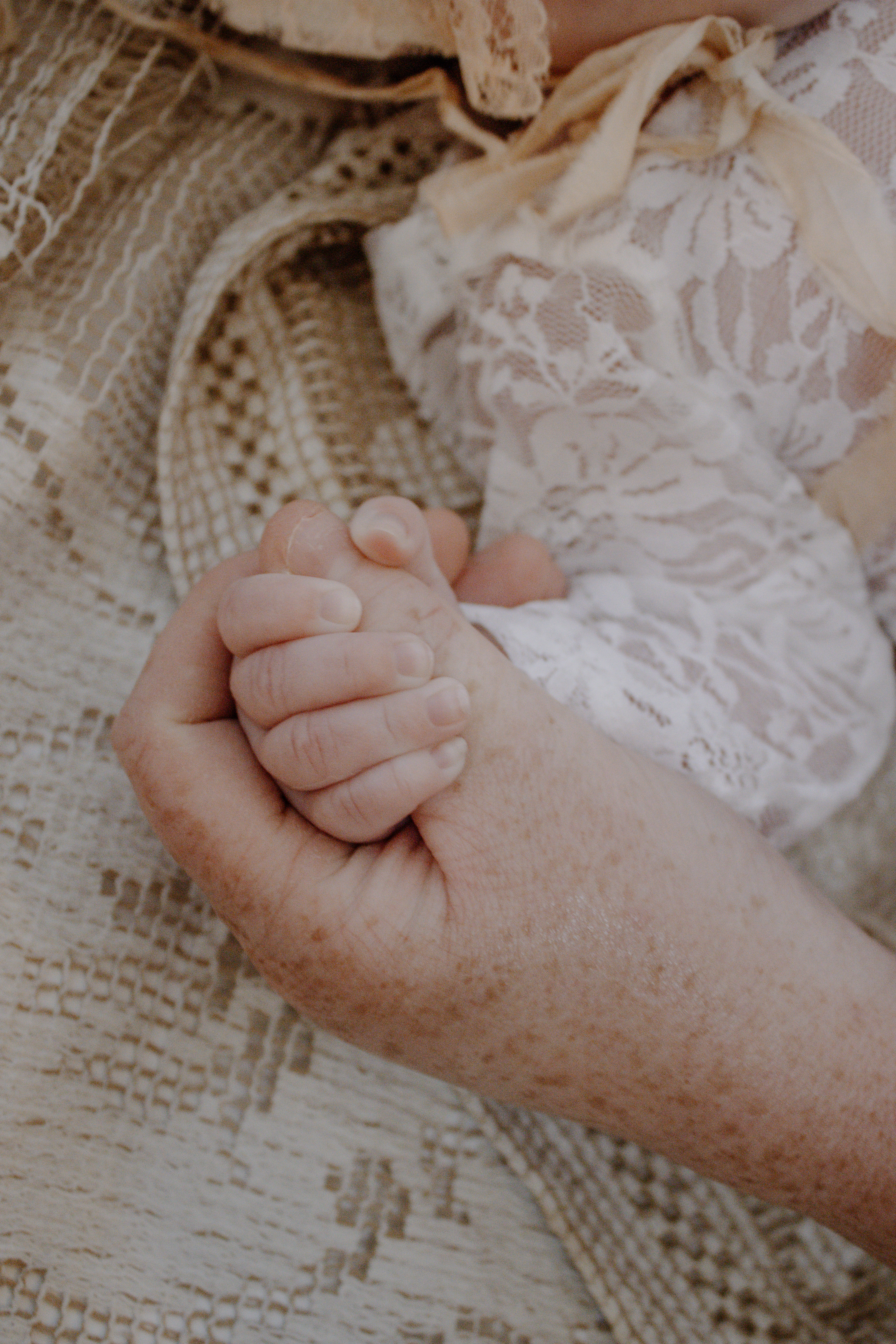 newborn photography, mother holding baby's hand